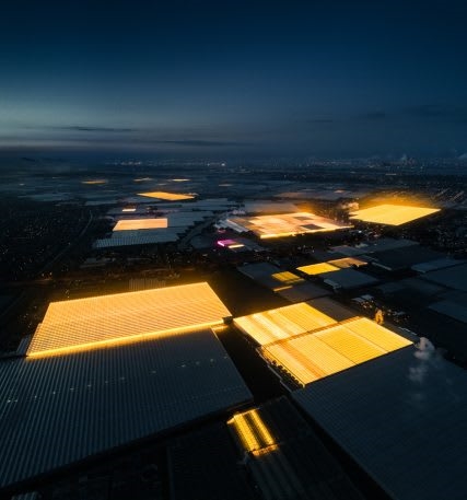 These eerily beautiful glowing buildings are the Netherlands’ massive network of greenhouses | DeviceDaily.com