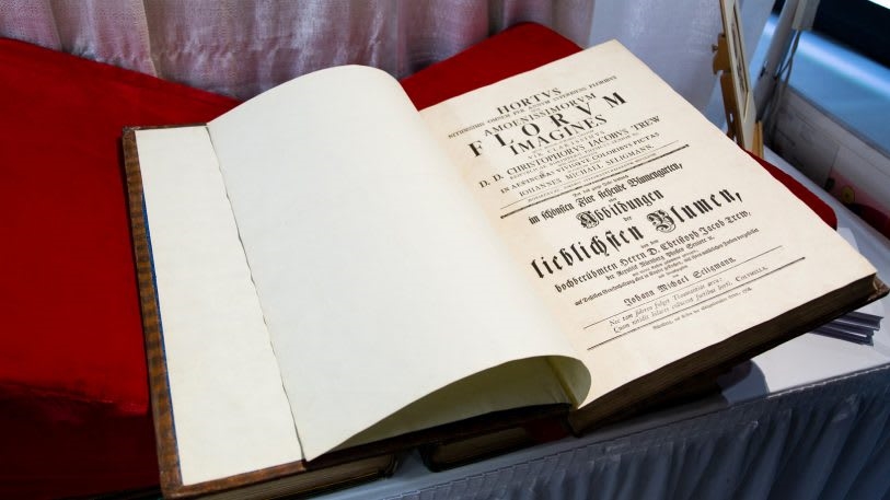 See some of the rarest books from NYC’s Antiquarian Book Fair | DeviceDaily.com