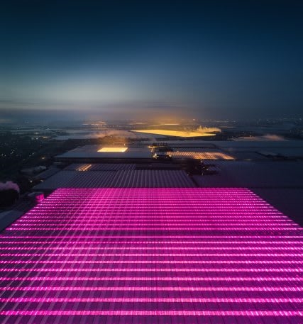 These eerily beautiful glowing buildings are the Netherlands’ massive network of greenhouses | DeviceDaily.com
