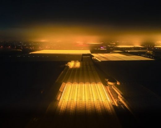 These eerily beautiful glowing buildings are the Netherlands’ massive network of greenhouses