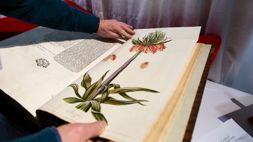 See some of the rarest books from NYC’s Antiquarian Book Fair | DeviceDaily.com