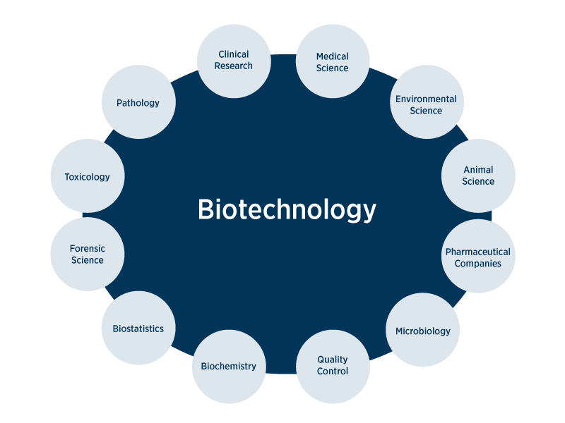 Biotechnology — Benefits and Risks at a Glance