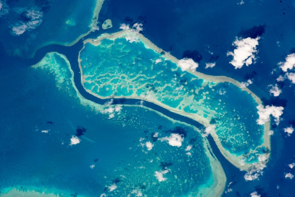 Bored at home? This game lets you help NASA map the world’s coral reefs | DeviceDaily.com