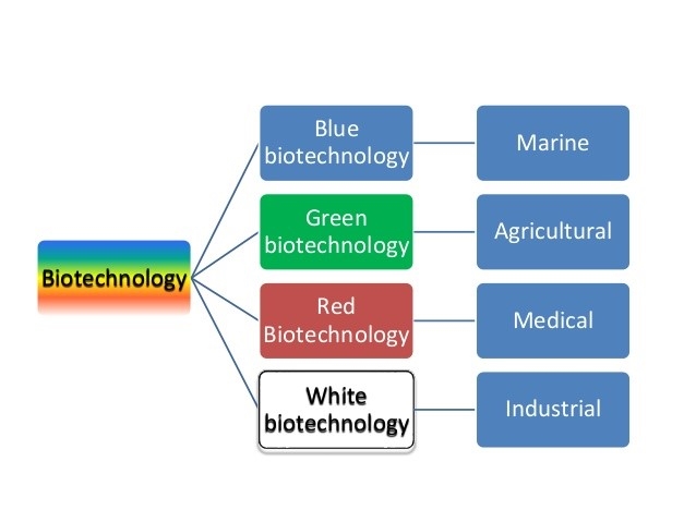 Biotechnology — Benefits and Risks at a Glance | DeviceDaily.com