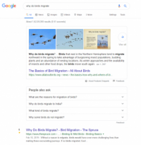 Google’s Featured Snippet DeDuplication Update