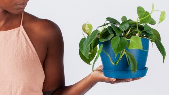 These 7 websites will deliver gorgeous flowers and plants directly to your door | DeviceDaily.com These 7 websites will deliver gorgeous flowers and plants directly to your door | DeviceDaily.com