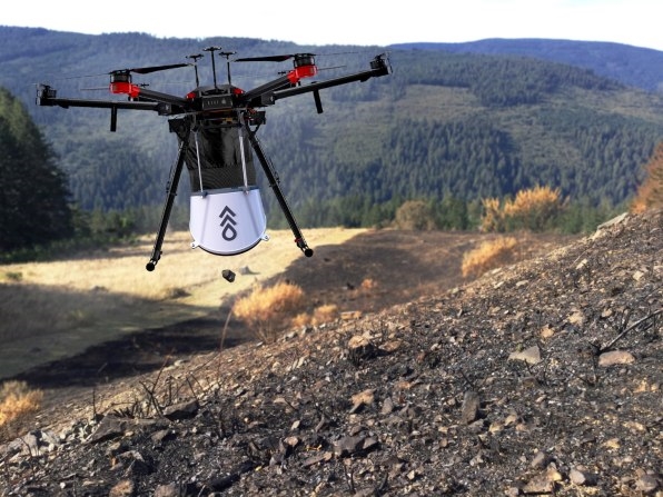 These drones can plant 40,000 trees in a month. By 2028, they’ll have planted 1 billion | DeviceDaily.com