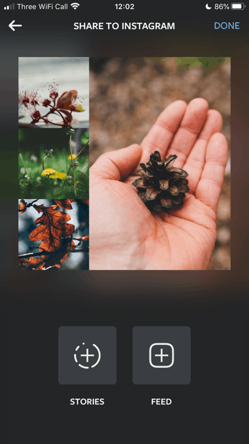 Instagram Collage: How to Make a Collage for an Instagram Story | DeviceDaily.com