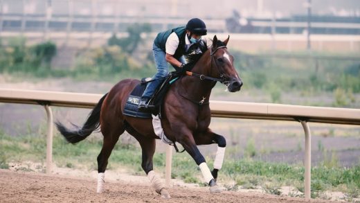 How to watch the Belmont Stakes 2020 live on NBC without cable