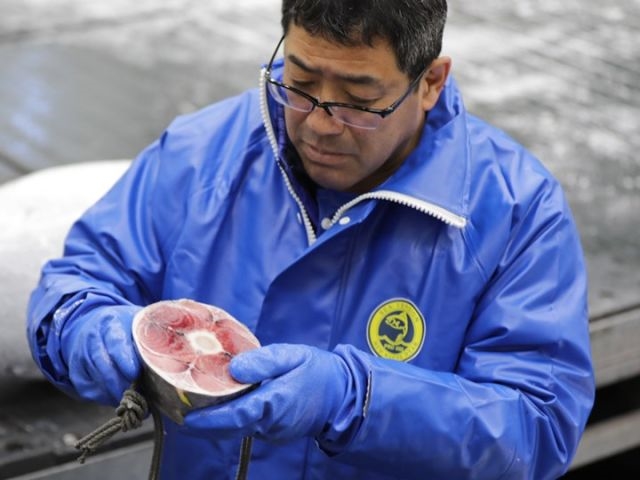 A sushi restaurant chain in Japan is using AI to evaluate tuna cuts | DeviceDaily.com