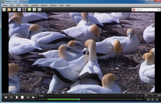 10 Best Video Players for Windows PC