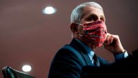 4 sobering takeaways from Dr. Anthony Fauci’s Senate testimony