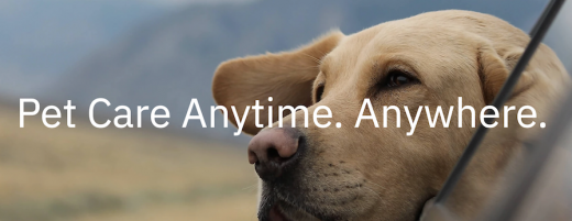 Airvet Showered by Investors with $14M in Series A Funding to Bring Virtual Care to Every Pet Owner in the Country