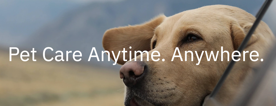 Airvet Showered by Investors with $14M in Series A Funding to Bring Virtual Care to Every Pet Owner in the Country | DeviceDaily.com Airvet Showered by Investors with $14M in Series A Funding to Bring Virtual Care to Every Pet Owner in the Country | DeviceDaily.com