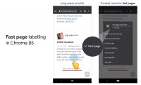 Chrome’s ‘Fast page’ label shows which websites have quick loading times