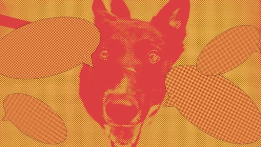 Talk to your dogs: Their brains process speech the same way yours does