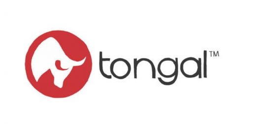 Tongal Community Sets Out To Help Washington D.C.’s NFL Team Rebrand