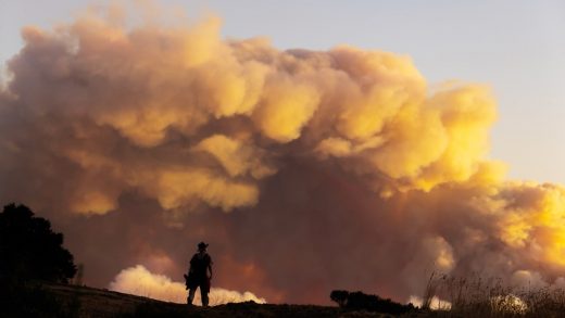 Why is wildfire smoke so bad for your lungs?