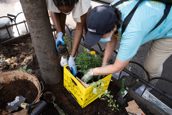 COVID-19 decimated NYC businesses. This free program is helping them recover | DeviceDaily.com