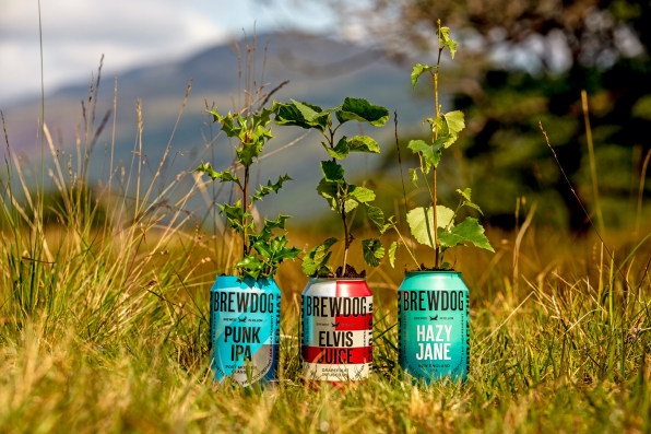 Why this Scottish brewery just bought a forest | DeviceDaily.com