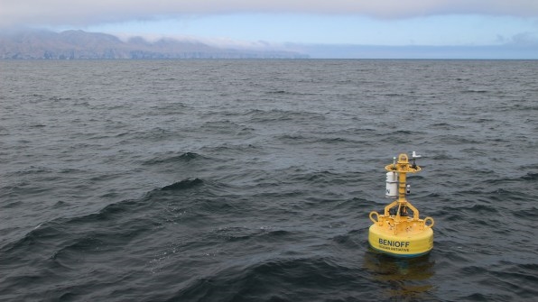 This whale-detection tech helps cargo ships avoid deadly crashes | DeviceDaily.com