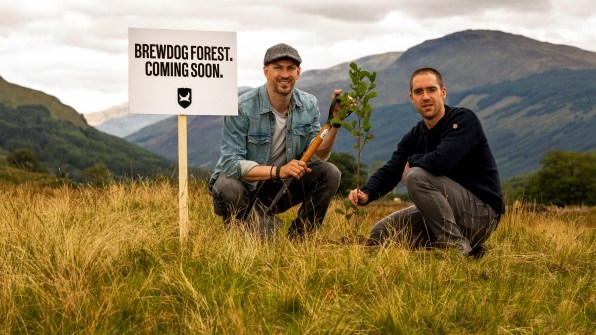 Why this Scottish brewery just bought a forest | DeviceDaily.com