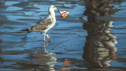 Food wrappers just passed cigarette butts as the most common beach trash