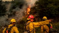 How to help California wildfire victims: 6 things you can do that take less than 5 minutes