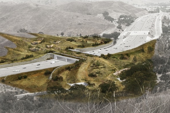 This massive wildlife crossing will help protect wildlife from LA drivers on the 101 | DeviceDaily.com