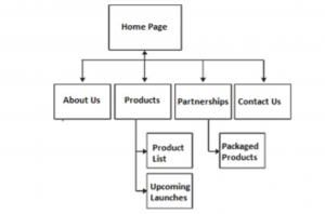 On-Page Optimization Lets You Take Control of Your Business Success | DeviceDaily.com