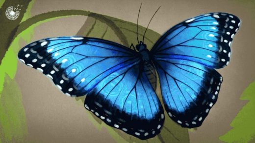 This paint inspired by butterflies could be the secret to cooler cities