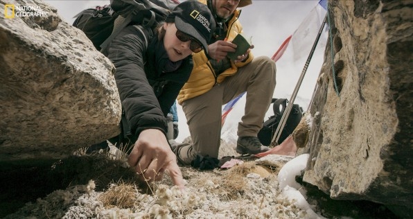 Microplastics are everywhere: even on top of Mount Everest | DeviceDaily.com
