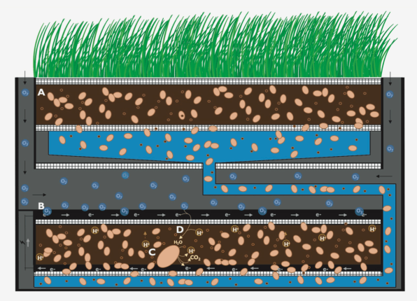 These biological batteries generate renewable energy from the ground | DeviceDaily.com