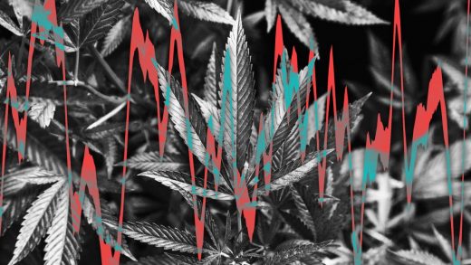 Cannabis stocks are blazing ahead of Election Day 2020