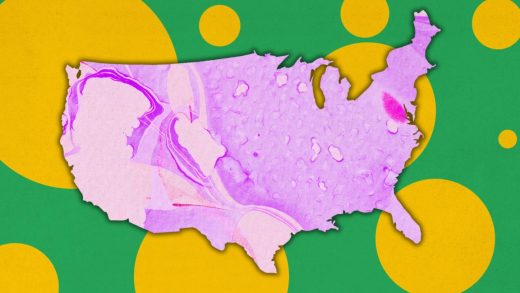 Let these hilarious fake electoral maps distract you from the real one