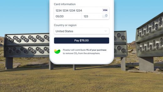 Stripe now lets businesses put money directly into carbon removal