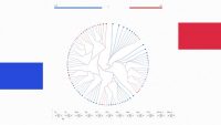 This burgeoning community helps people build stunning data visualizations