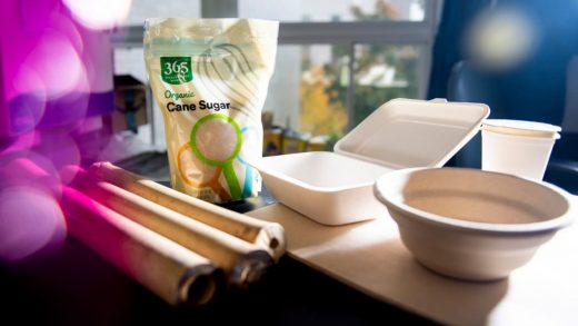 This tableware made from bamboo and sugar waste biodegrades in 60 days