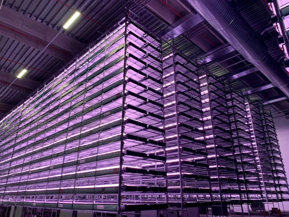 This vertical farm in Denmark will grow 1,000 tons of local greens a year | DeviceDaily.com