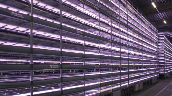 This vertical farm in Denmark will grow 1,000 tons of local greens a year | DeviceDaily.com