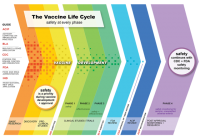 How the world went from no COVID vaccines to two in under a year