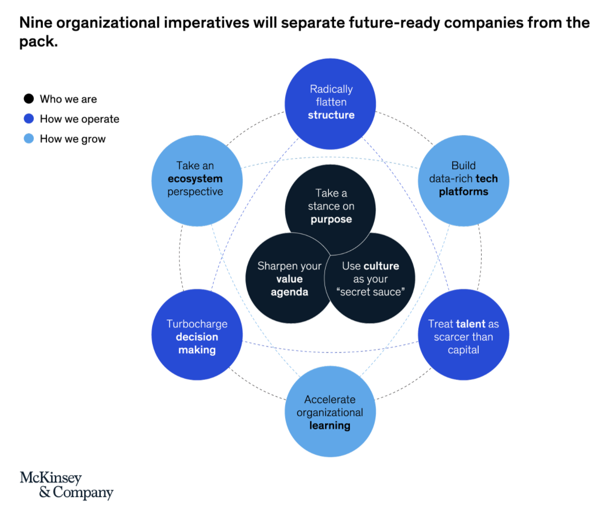 How McKinsey and Company’s “Radically Better Organization” Framework Applies to Freelancers | DeviceDaily.com