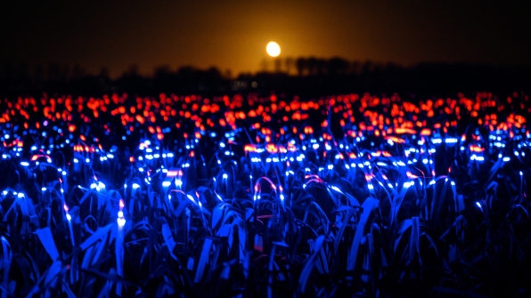 This stunning light display could make crops more sustainable | DeviceDaily.com This stunning light display could make crops more sustainable | DeviceDaily.com