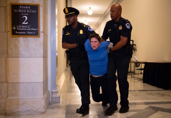 Here’s what the U.S. Capitol looked like when protestors wanted healthcare and equality | DeviceDaily.com