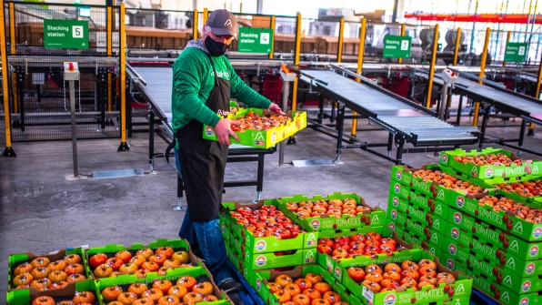 This state-of-the-art indoor farm is transforming Appalachia into an agricultural powerhouse | DeviceDaily.com