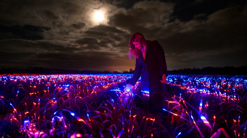 This stunning light display could make crops more sustainable | DeviceDaily.com
