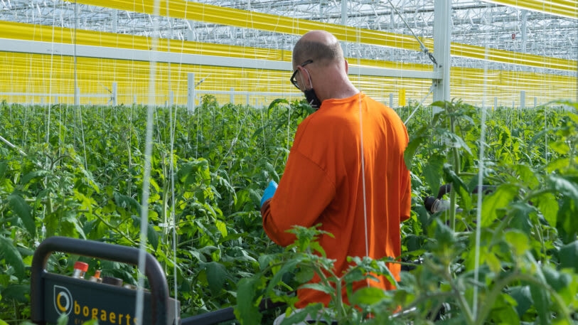 This state-of-the-art indoor farm is transforming Appalachia into an agricultural powerhouse | DeviceDaily.com