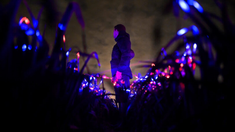 This stunning light display could make crops more sustainable | DeviceDaily.com