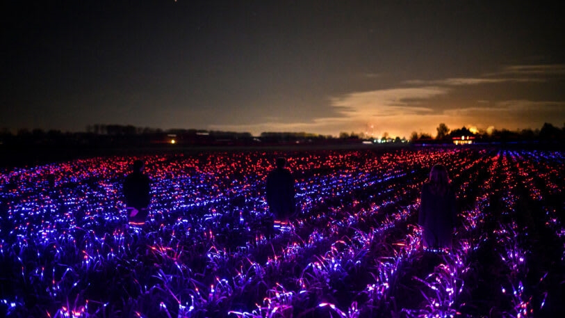 This stunning light display could make crops more sustainable | DeviceDaily.com