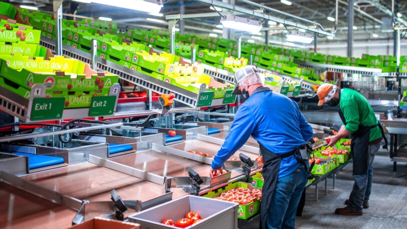 This state-of-the-art indoor farm is transforming Appalachia into an agricultural powerhouse | DeviceDaily.com